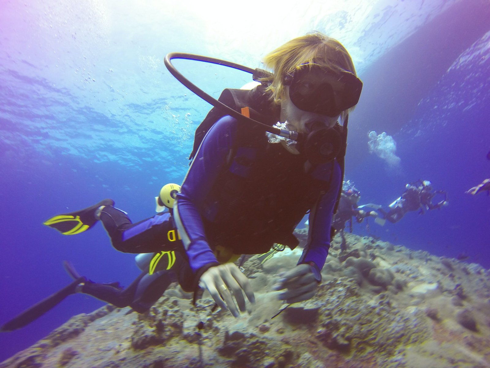 Buceo en Ibiza: flora y fauna única